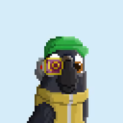 Hyparrot #3614