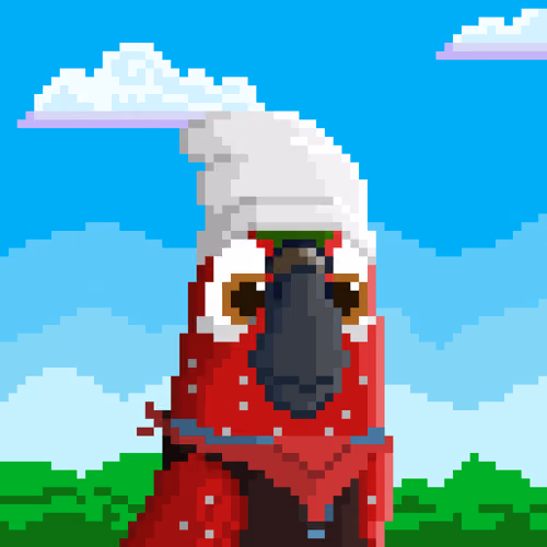 Hyparrot #2941