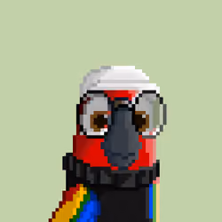 Hyparrot #3088