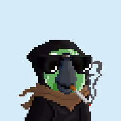 Hyparrot #3157