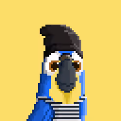 Hyparrot #3973