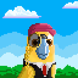 Hyparrot #2887