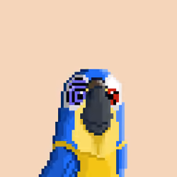Hyparrot #3613
