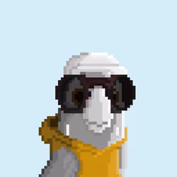 Hyparrot #2247