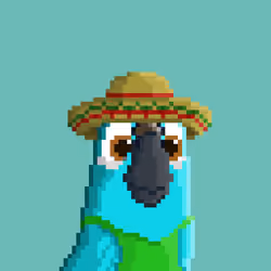Hyparrot #871