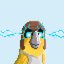 Hyparrot #1563