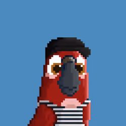 Hyparrot #1922