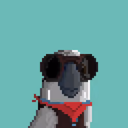 Hyparrot #2636