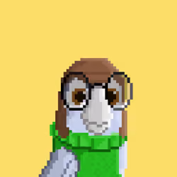 Hyparrot #2146