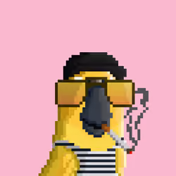 Hyparrot #1555