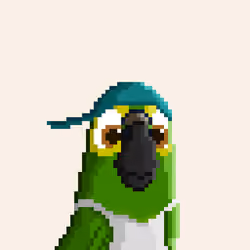 Hyparrot #1259
