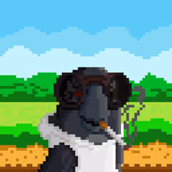 Hyparrot #2765