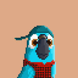 Hyparrot #3081