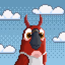 Hyparrot #1717