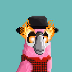 Hyparrot #1577