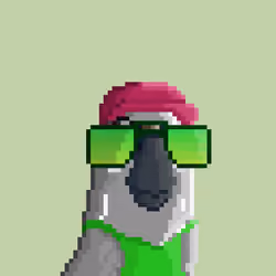 Hyparrot #2306