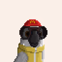 Hyparrot #2736