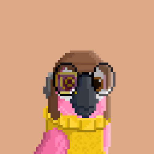 Hyparrot #249