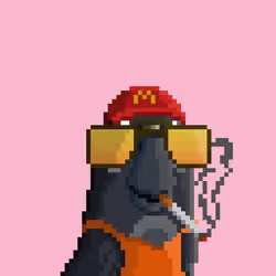 Hyparrot #1070