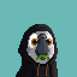 Hyparrot #3609