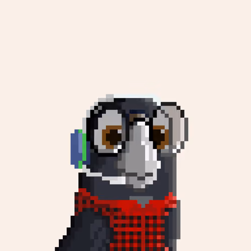 Hyparrot #1623