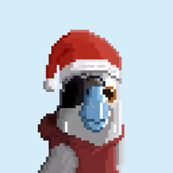 Hyparrot #2894