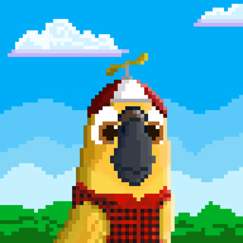 Hyparrot #1467