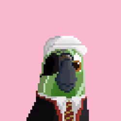Hyparrot #2797