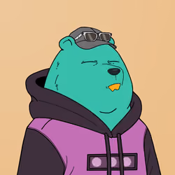 BearsonHL #916