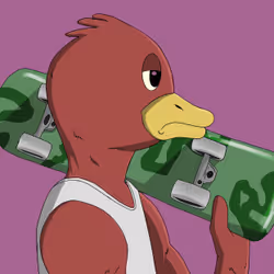 26