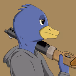 244