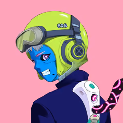 Octis Divers #481