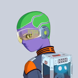 Octis Divers #575