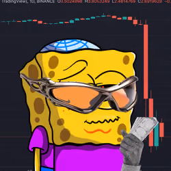 SpongeBro #467