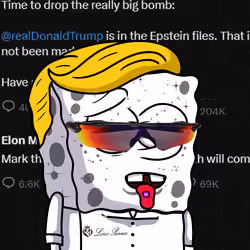 SpongeBro #779