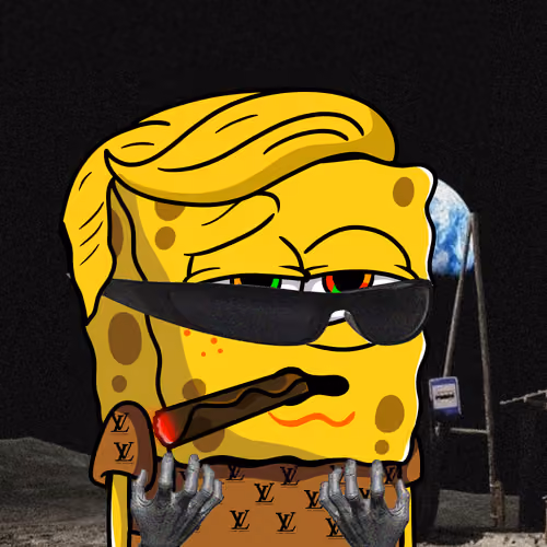SpongeBro #1138