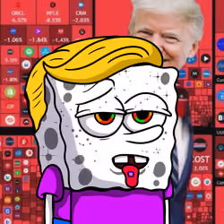 SpongeBro #575