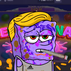 SpongeBro #510