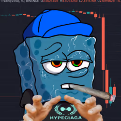 SpongeBro #948