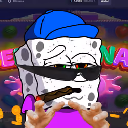 SpongeBro #802