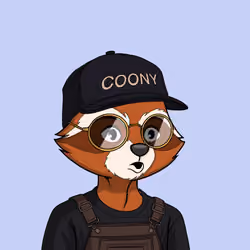 Coony #104