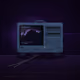 HYPE TERMINAL #3679