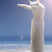LONG