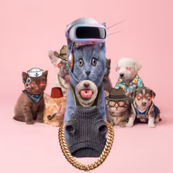 PupCats #1458