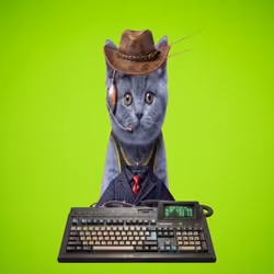 858
