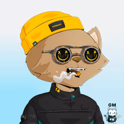 HyperCat #1852
