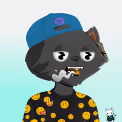 HyperCat #618