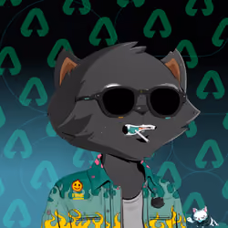 HyperCat #3408
