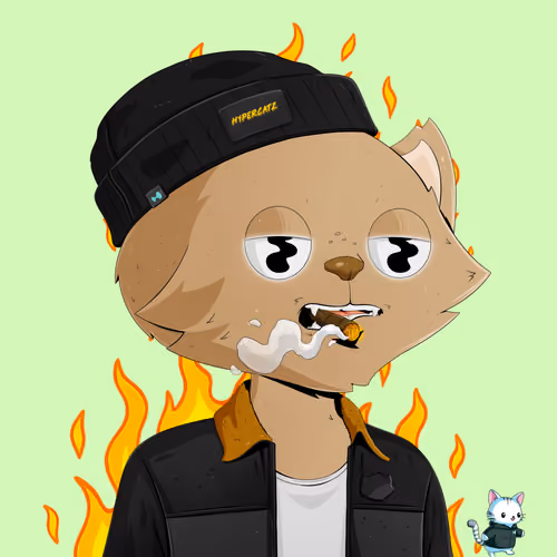 HyperCat #2357