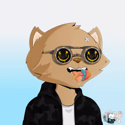 HyperCat #2331